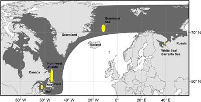 Frontiers | Harp Seals: Monitors of Change in Differing Ecosystems